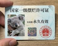 国家一级摆烂许可证