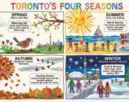 四季变化信息图