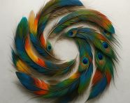 鸟类羽毛制成LOGO