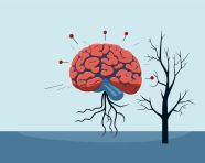 A brain that is experiencing a stroke, human brain, creative bra