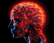 The human head with the brain on it was causing panic, health and medical stock image