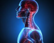 Photo 3d male figure with neck highlighted in pain, health and medical stock image