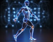 Photo 3d render of a male figure with joints highlighted, health and medical stock image