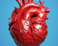 A photo of a vector a human heart, health and medical stock image