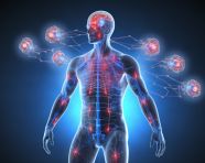 3d render of a medical background with male figure and brain highlighted, health and medical stock image