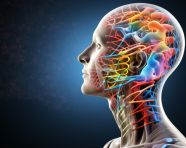 Photo 3d medical background with male head and brain on dna strands, health and medical stock image