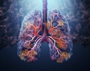 Human lung with smoke mix color, health and medical stock image