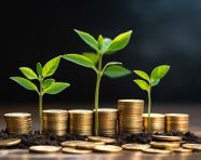 A model of miniature wooden houses a young green sprout of leaves sprouting from gold coins, finance stock photo