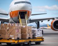 Airplane wing with luggage and cargo at the international airport, air transportation stock images, ai prompt air transportation, airplane stock images