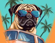 Pug in colorful shades, animal t-shirt designs, animal t-shirt design stock images, animal t-shirt design ai prompts