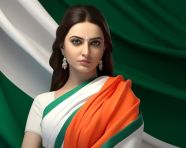 A women in the traditional sari is in the photo, independence day stock image, independence day ai prompt
