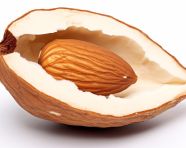 Single almond cracked open, almond image