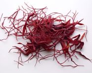 Saffron leaves on a white surface, saffron flower image