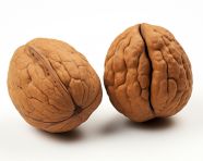 Walnut reflection on white, walnuts image