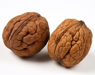 Two walnuts on a white background, walnuts image