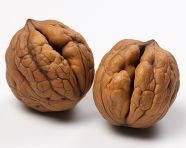 Walnut pair in contrast, walnuts image