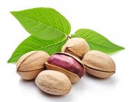 Pistachios in a leafy wreath, pistachio nut image