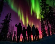 Amily hikes through the woods, christmas stock image ai, christmas stock photos ai
