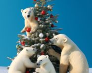 Arctic family enjoys the holidays, christmas stock image ai, christmas stock photos ai