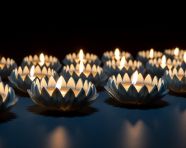 A glowing cluster of diyas, diwali festival stock image, diwali festival ai prompt