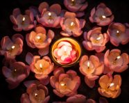 Burning diyas surrounded by flowers, diwali festival stock image, diwali festival ai prompt