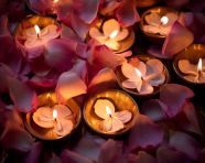 Diyas on petals, diwali festival stock image, diwali festival ai prompt