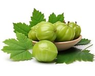 Solated gooseberry fruit and leaves against white, gooseberry fruit image