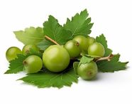 Ooseberry fruit and leaves detail, gooseberry fruit image