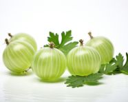 Three green gooseberries in front of a white background, gooseberry fruit image