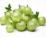 Fresh green gooseberries isolated on white surface, gooseberry fruit image