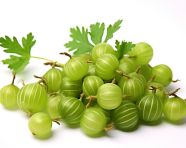 Bunch of green gooseberries isolated on white, gooseberry fruit image