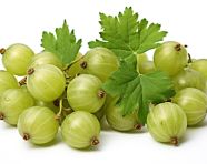 Gooseberries isolated on white background, gooseberry fruit image