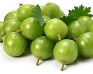 Green gooseberries isolated on white, gooseberry fruit image