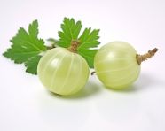 Two gooseberry are in the white background, gooseberry fruit image