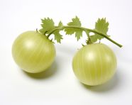 Photo of 2 green gooseberry fruits on white background, gooseberry fruit image