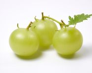 Uicy green gooseberries, gooseberry fruit image