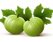 Green amla fruits closeup, gooseberry fruit image