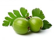 Two amla on white background with leaves, gooseberry fruit image