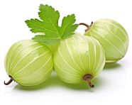 Gooseberry fruit isolated on white background, gooseberry fruit image