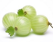 Gooseberry fruit isolated on white, gooseberry fruit image