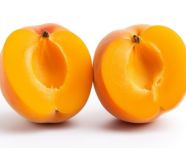 Split apricot acutum fruit on white, apricot images