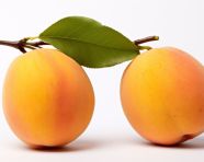 Golden apricots on white background, apricot images