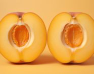 Apricot half with seeds, apricot images