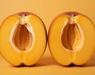 Close-up of apricot half, apricot images