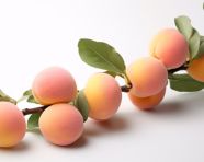 Small apricots on a white background, apricot images
