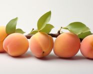 Small apricots isolated on white, apricot images