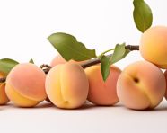 Juicy apricots close-up, apricot images