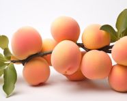 Glistening apricots on a white plate, apricot images
