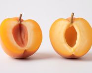 Two apricots isolated on white, apricot images