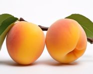 Apricots a sweet and healthy snack, apricot images